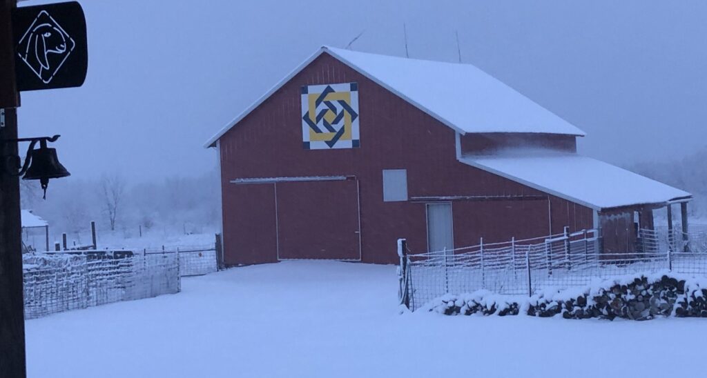 Why Raw Goat Milk is Hard to Find in the Winter